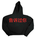 TOLD YOU HOODIE
